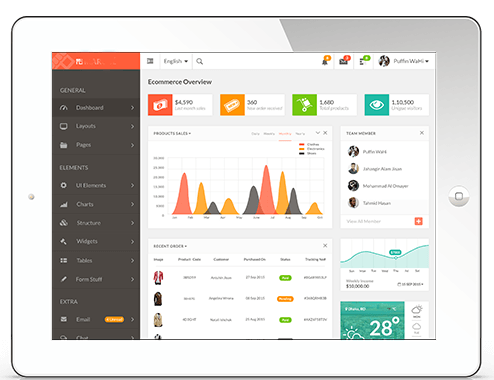 Reports & Analytics Graph