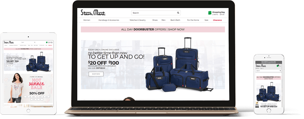 Steinmart Responsive Website